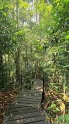 Bukit Therisek