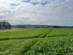 Bad Iburg - Dissen · Hermannsweg etappe 4