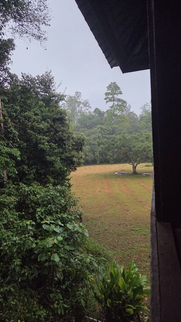 Tahan Hide + Swamp loop