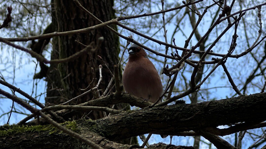 Otterlo - Heelsum · Wandelroute van A tot Z etappe 7