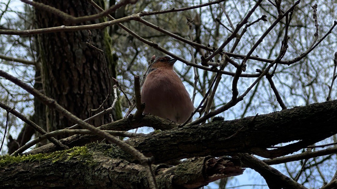 Otterlo - Heelsum · Wandelroute van A tot Z etappe 7