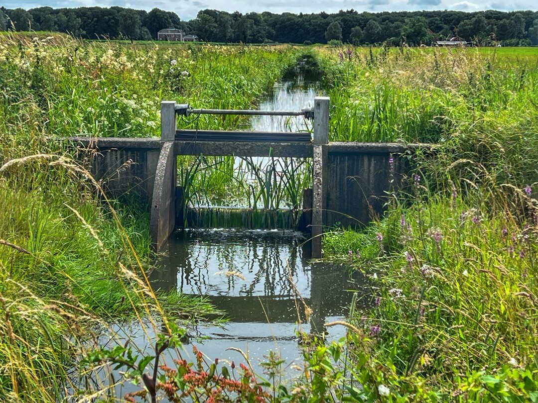 Berkelpad: etappe 2: almen - lochem