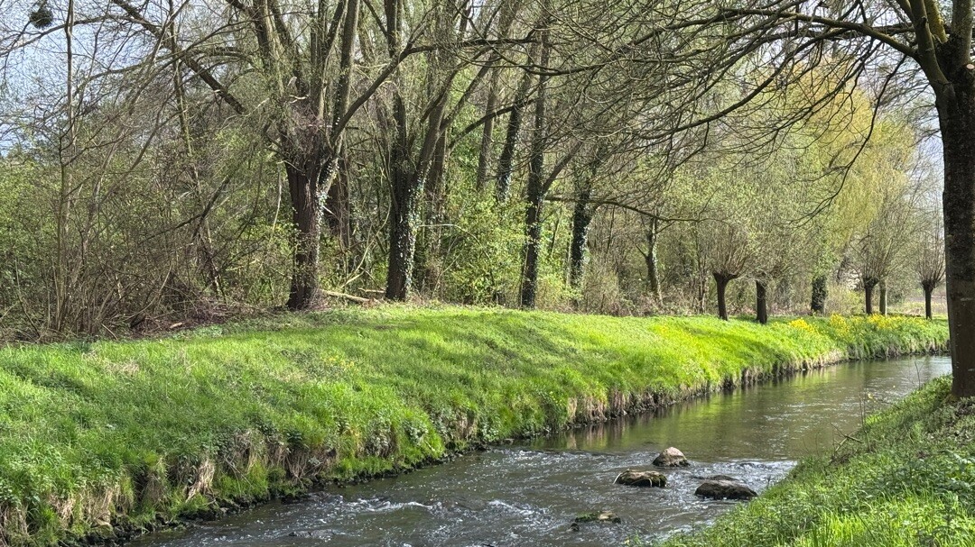 Rengelaoteroute SC07 Schinnen