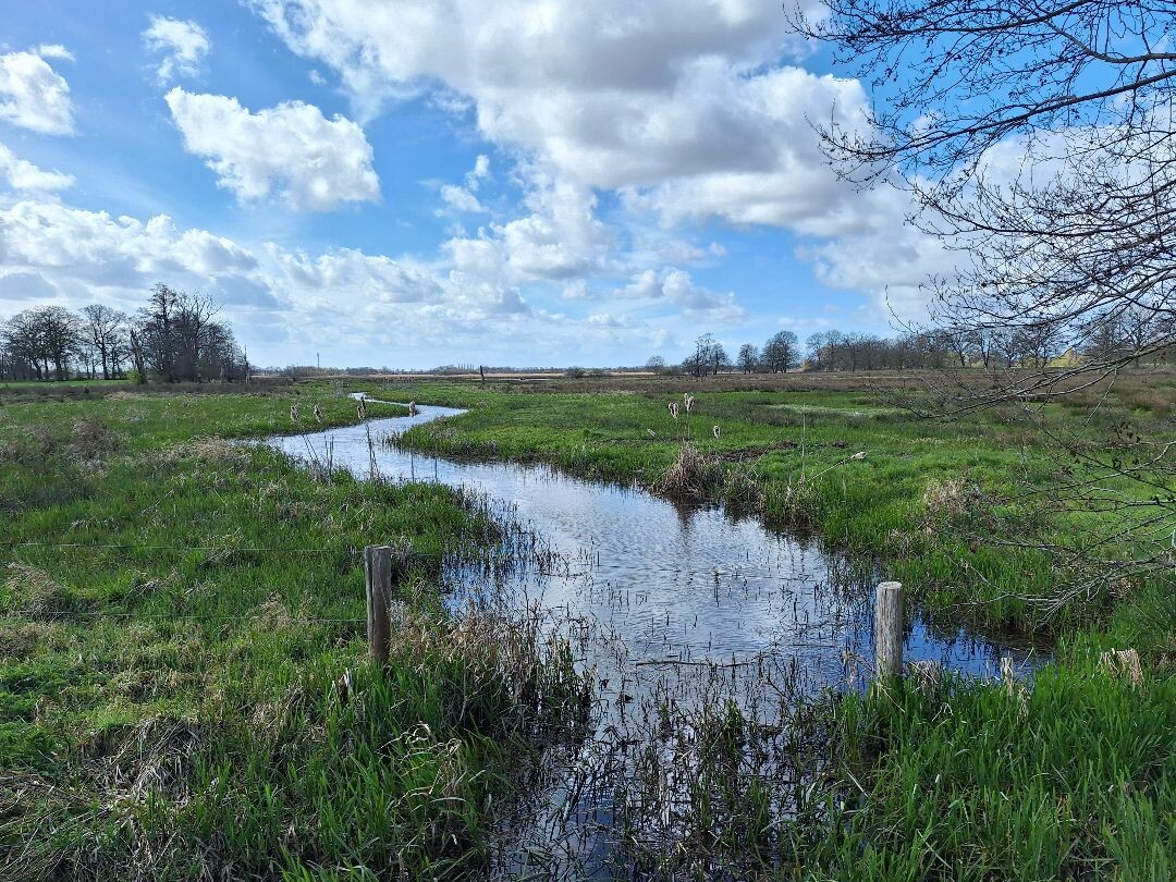 WandelWeb Route - Geeserstroom