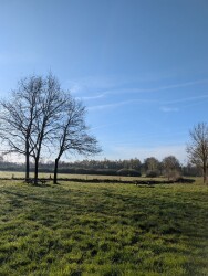 Oost Gelre Wandelen