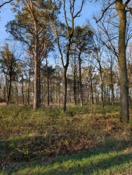 Oost Gelre Wandelen