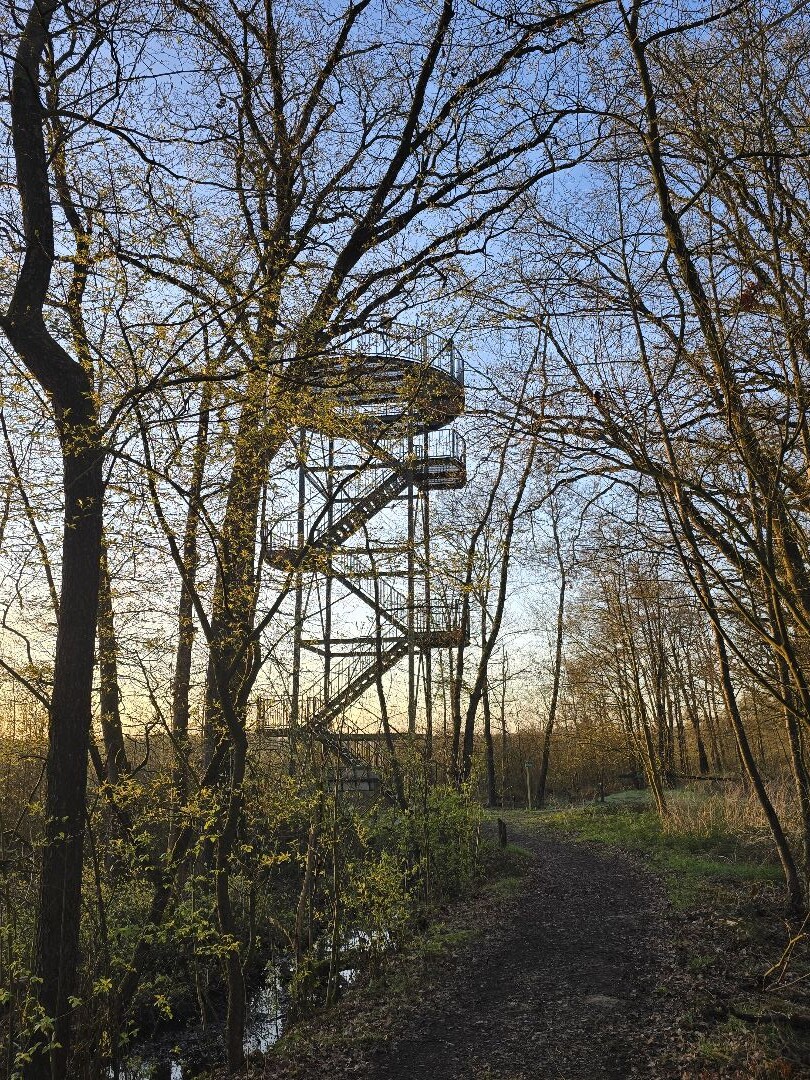 De Vragenderveld Wandeling