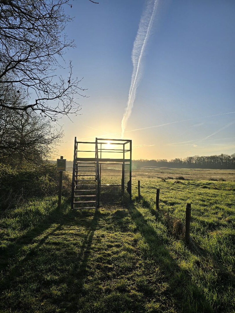 De Vragenderveld Wandeling