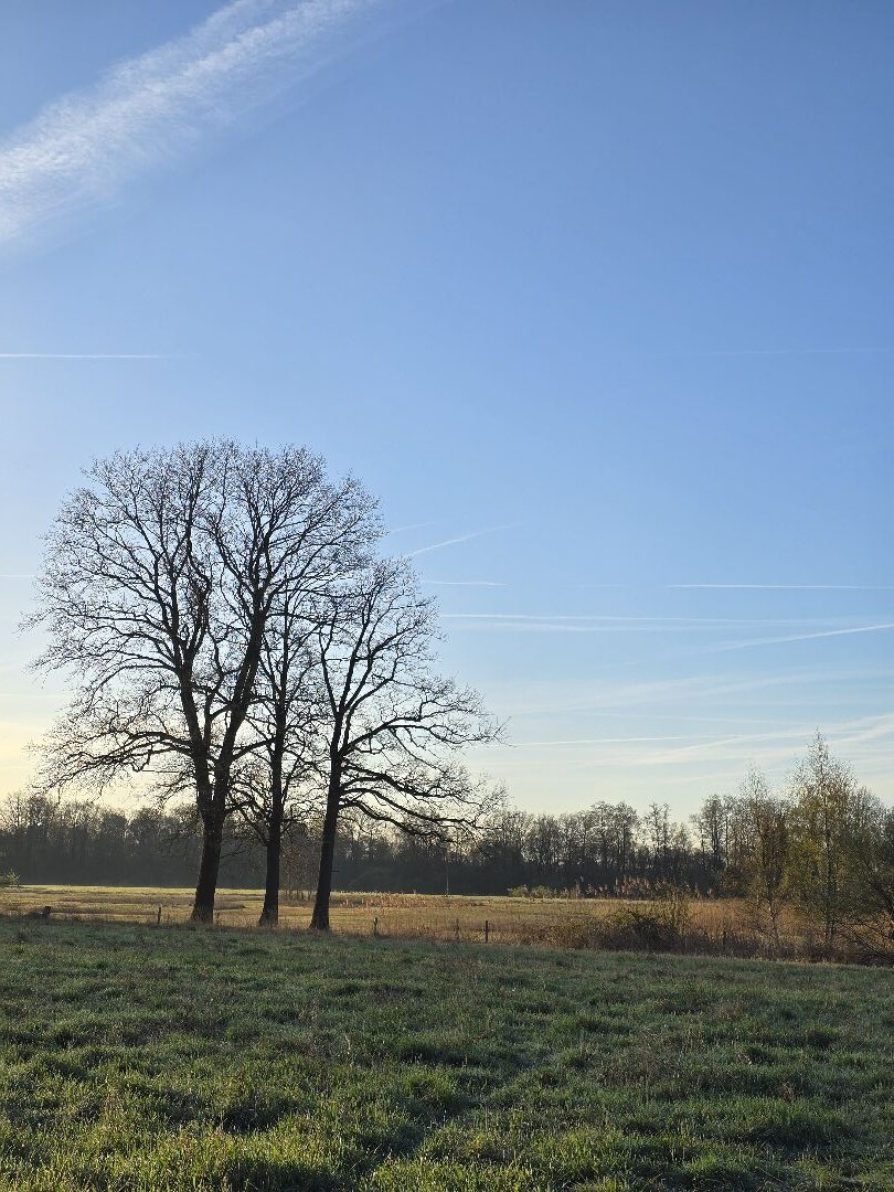 De Vragenderveld Wandeling