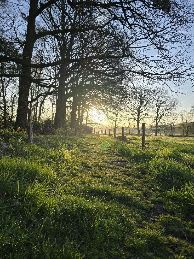 De Vragenderveld Wandeling