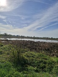 Rondwandeling A Land van Cuijkpad