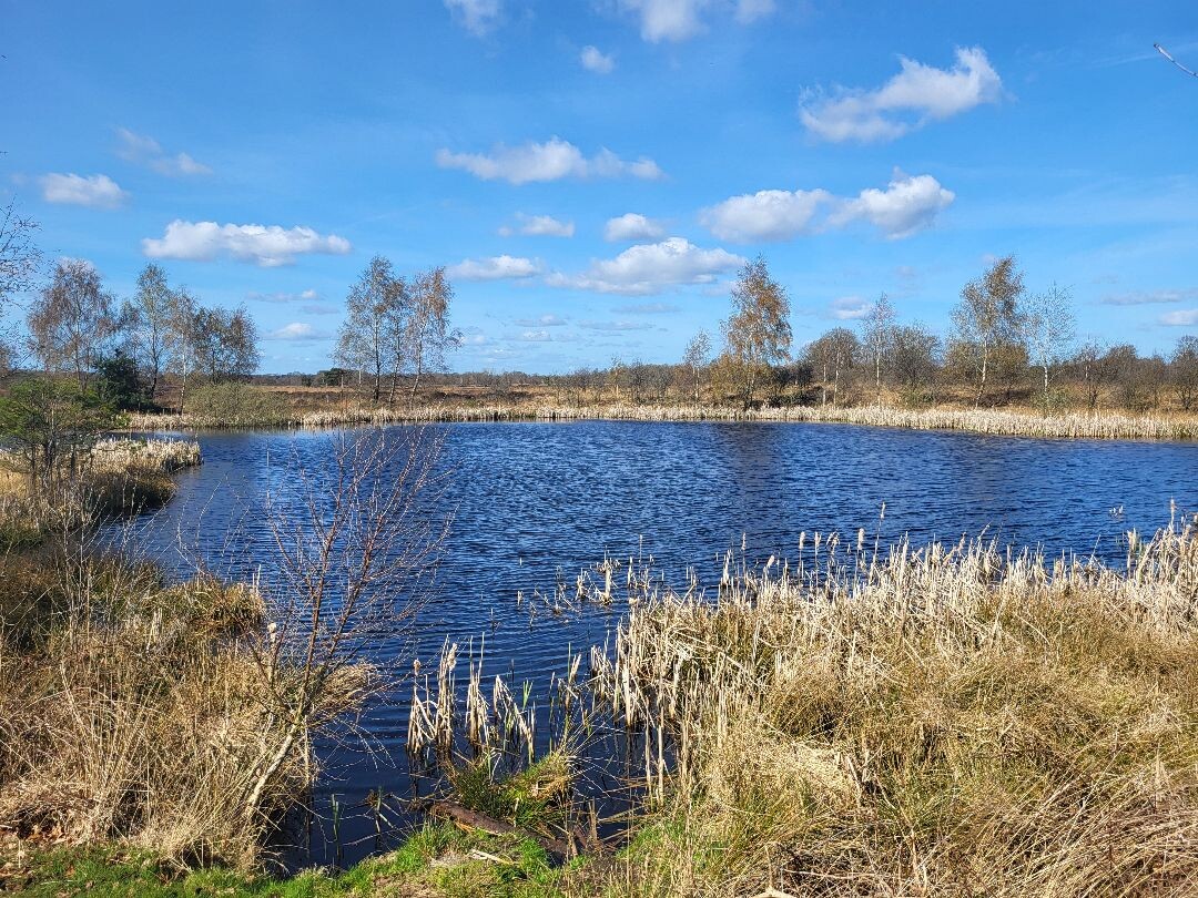 Zuidlaren - Rolde · Pieterpad etappe 4