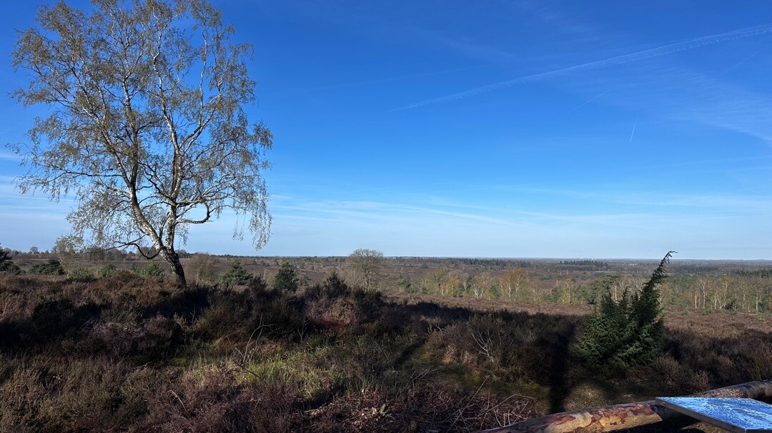 Sallandse Heuvelrug - Blauw