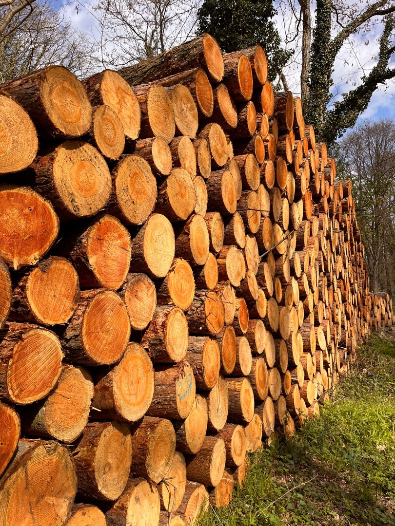 't Onland - de Wrange