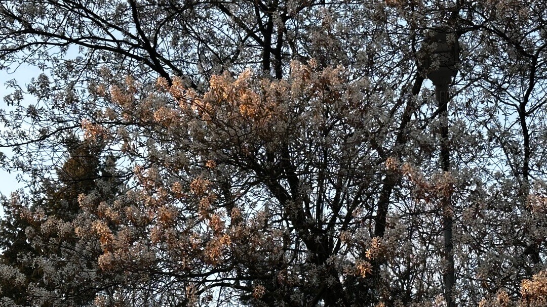 Otterlo - Heelsum · Wandelroute van A tot Z etappe 7