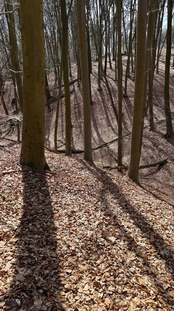 Sint Jansberg 10,5 km