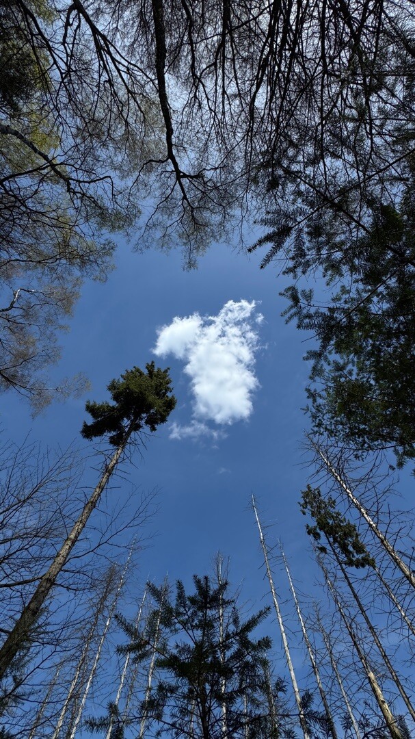 Sint Jansberg 10,5 km