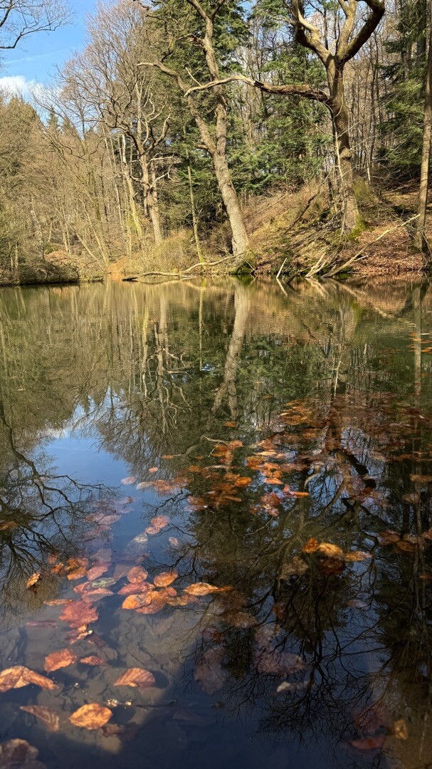 Sint Jansberg 10,5 km