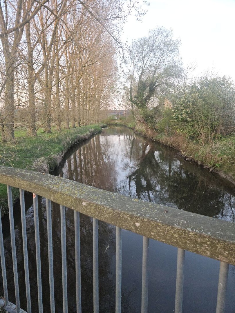Meierijstad Wandelen