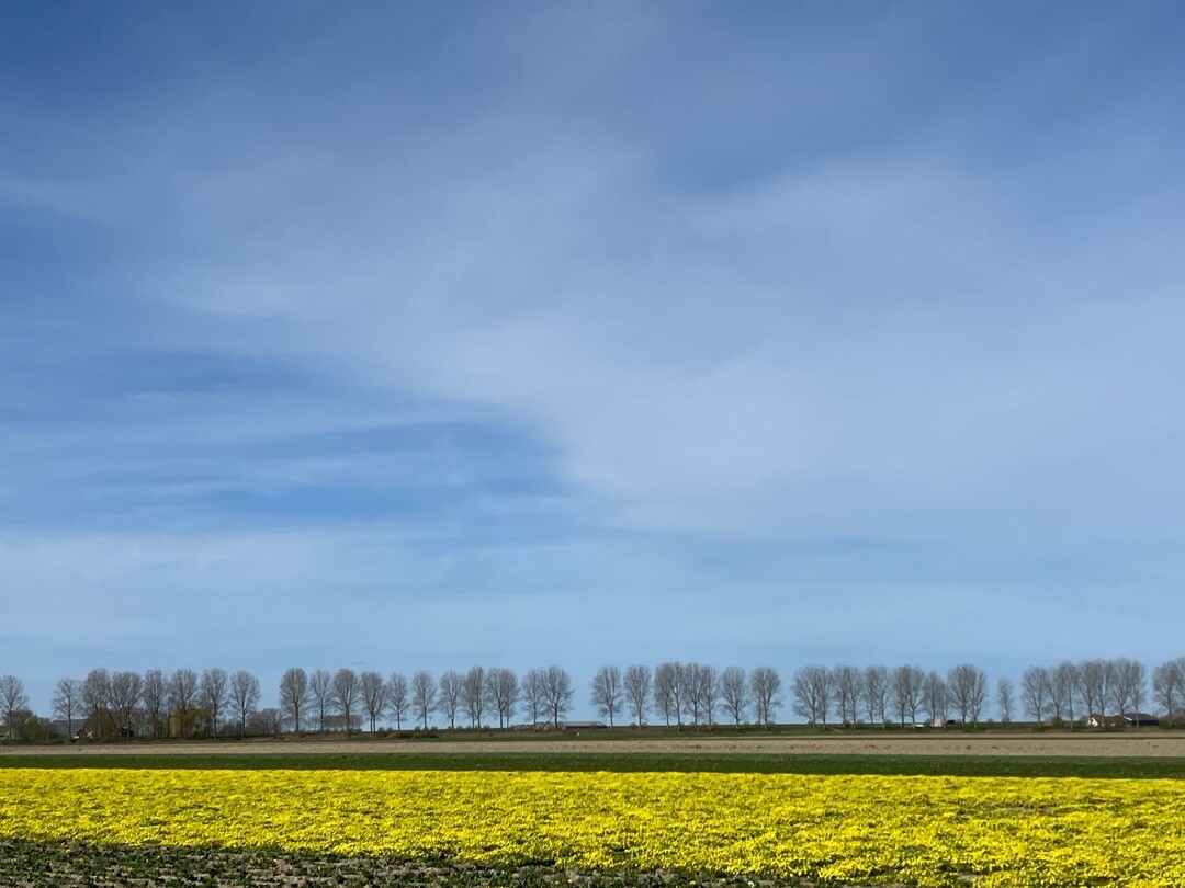 Slaakbrug - Stavenisse · Oosterscheldepad etappe 8
