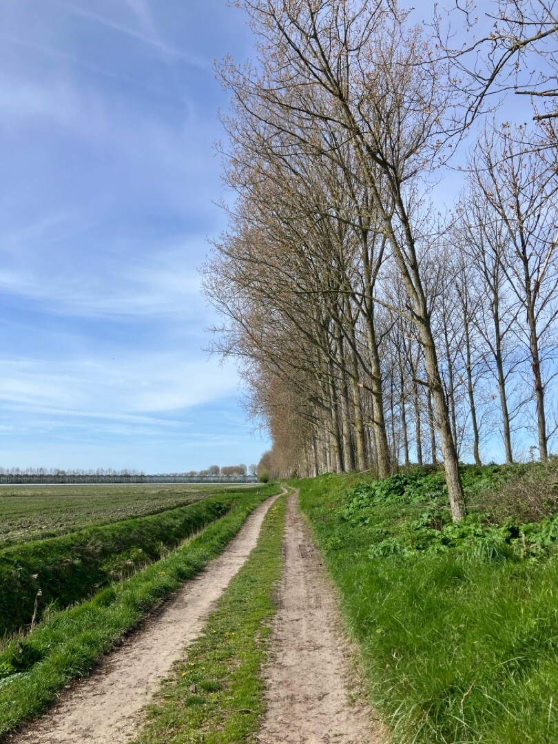 Slaakbrug - Stavenisse · Oosterscheldepad etappe 8