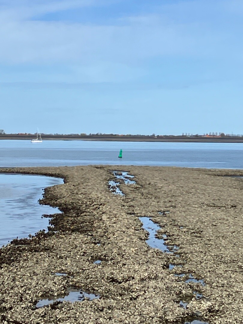 Slaakbrug - Stavenisse · Oosterscheldepad etappe 8