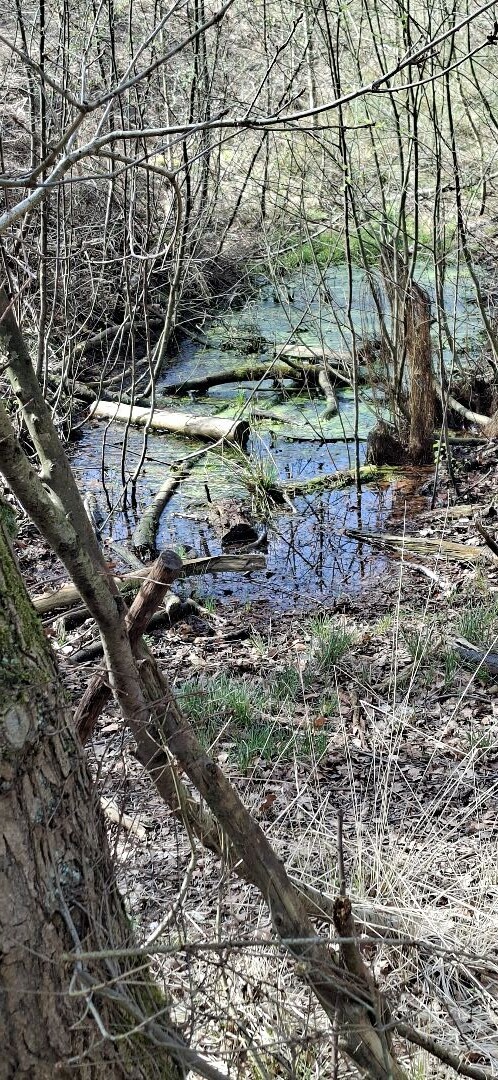 Wandelroute Buiten in de kuil