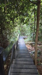 Canopy Walk Kuala Lumpur