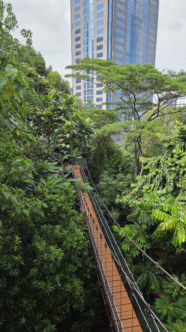 Canopy Walk Kuala Lumpur