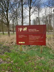 Ossenzijl - Geel
