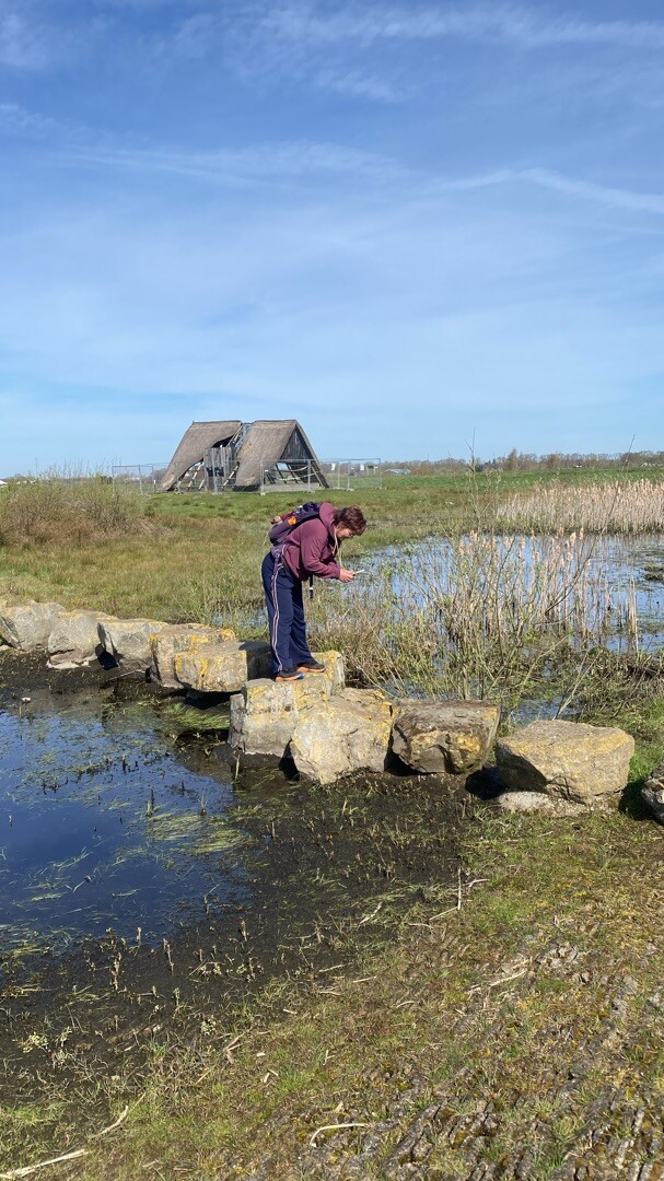 Nieuw-Dordrecht - Weiteveen · Noaberpad etappe 7