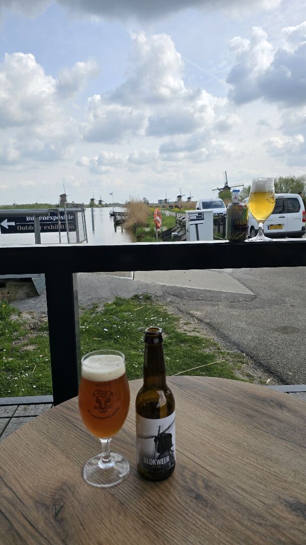 Wandeling Kinderdijk