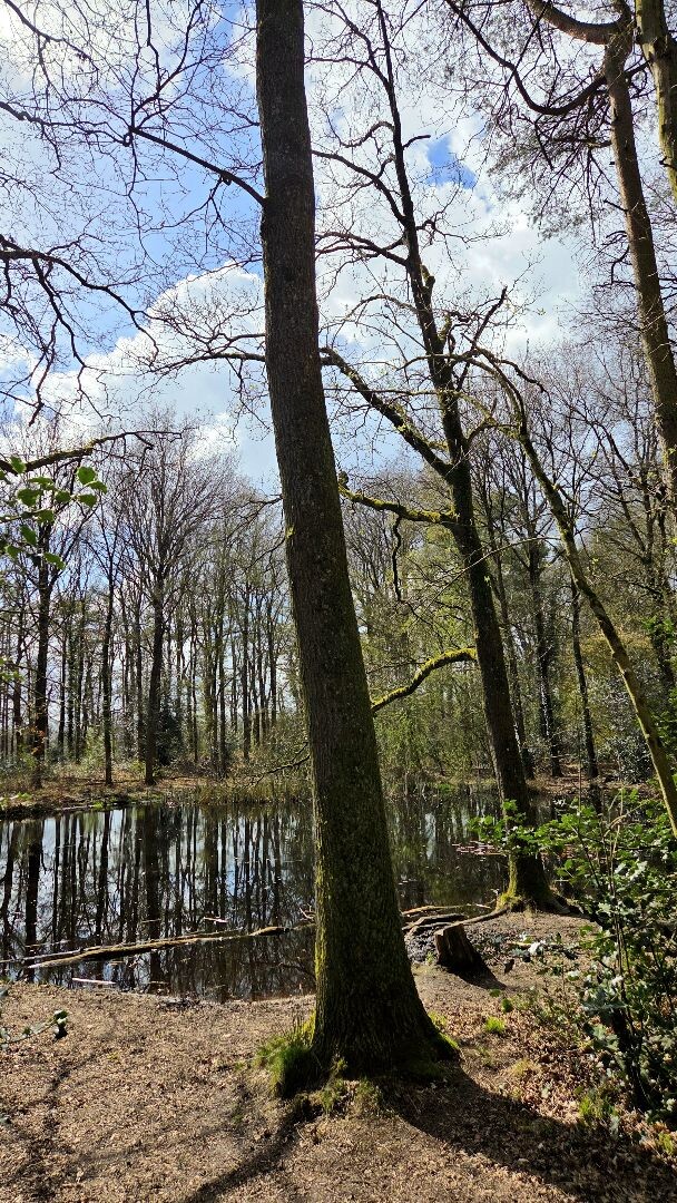 Wandelroute Appelbergen