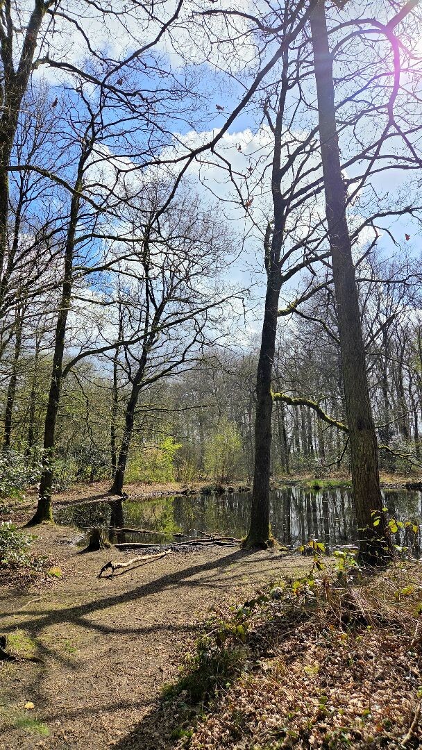 Kolham - Glimmen · Roots Natuurpad etappe 3