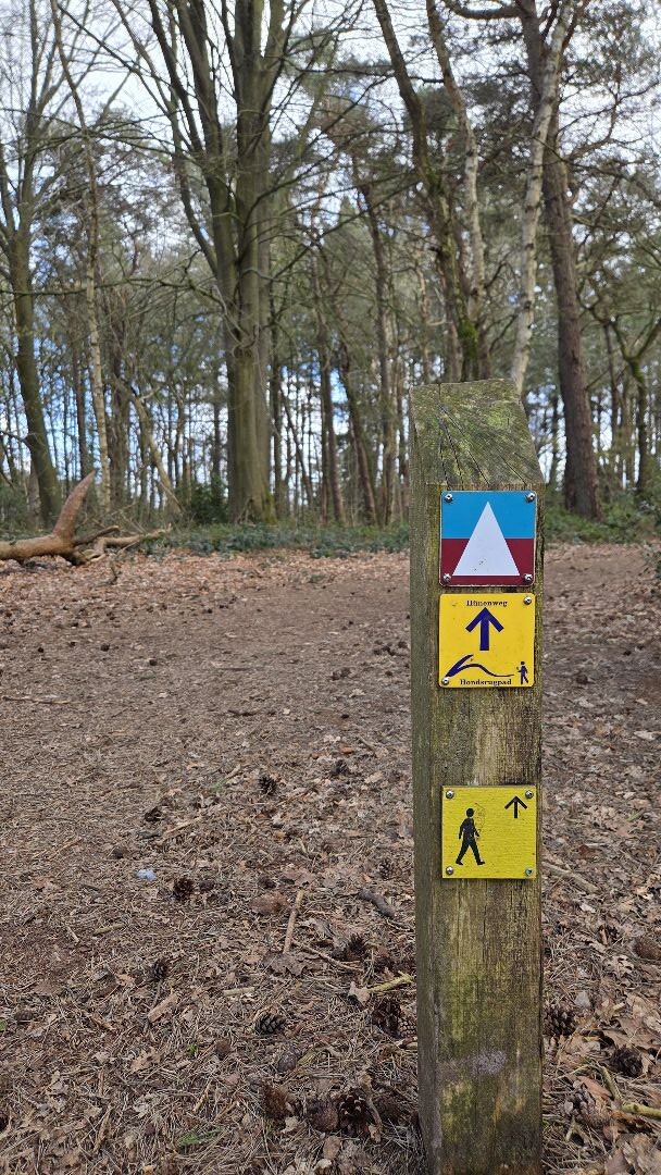 Wandelroute Appelbergen