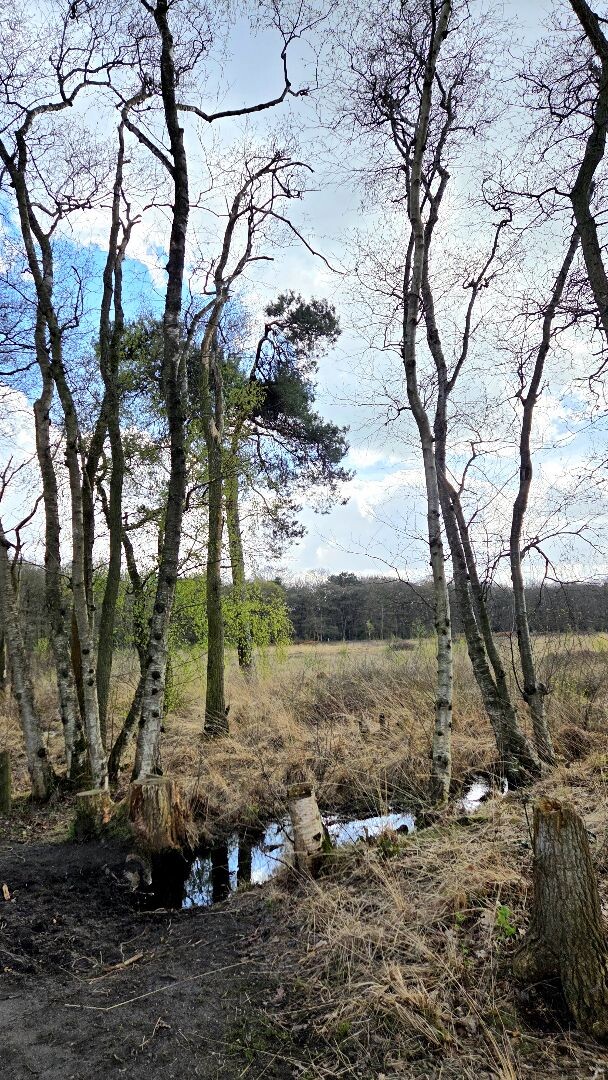 Wandelroute Appelbergen