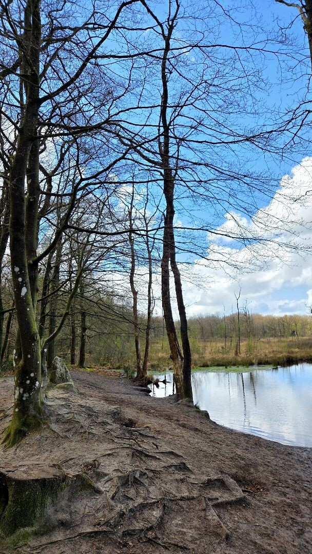 Wandelroute Appelbergen