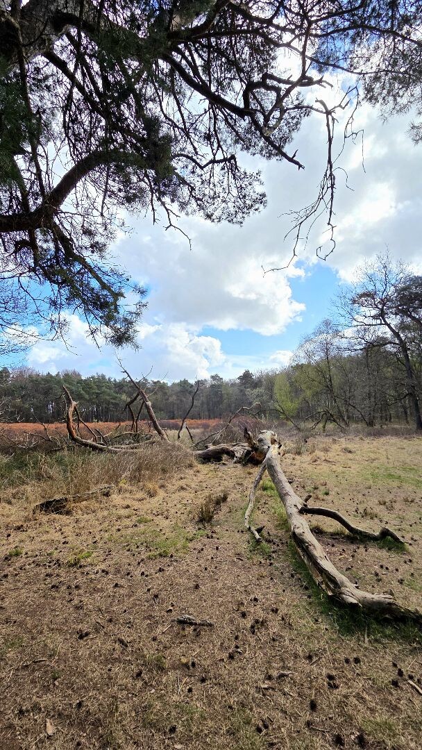 Wandelroute Appelbergen