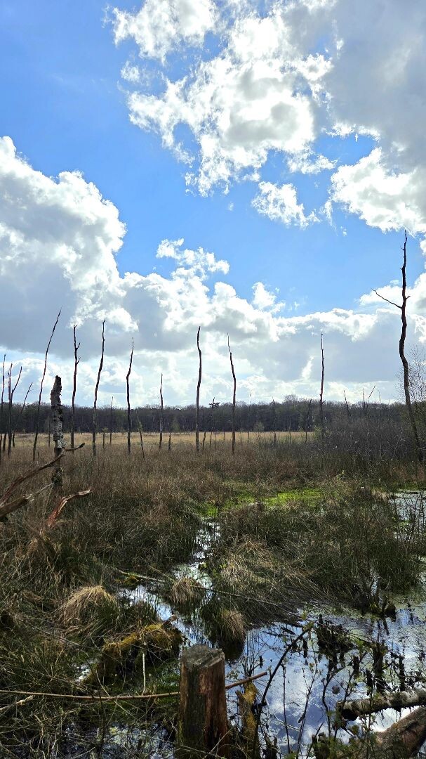 Wandelroute Appelbergen