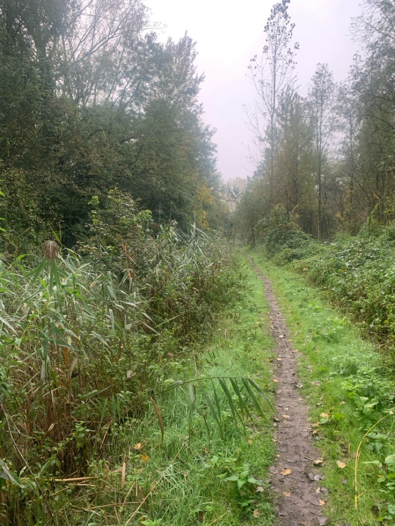Genneper watermolen - Motel Eindhoven · Hertog Hendrikpad etappe 2