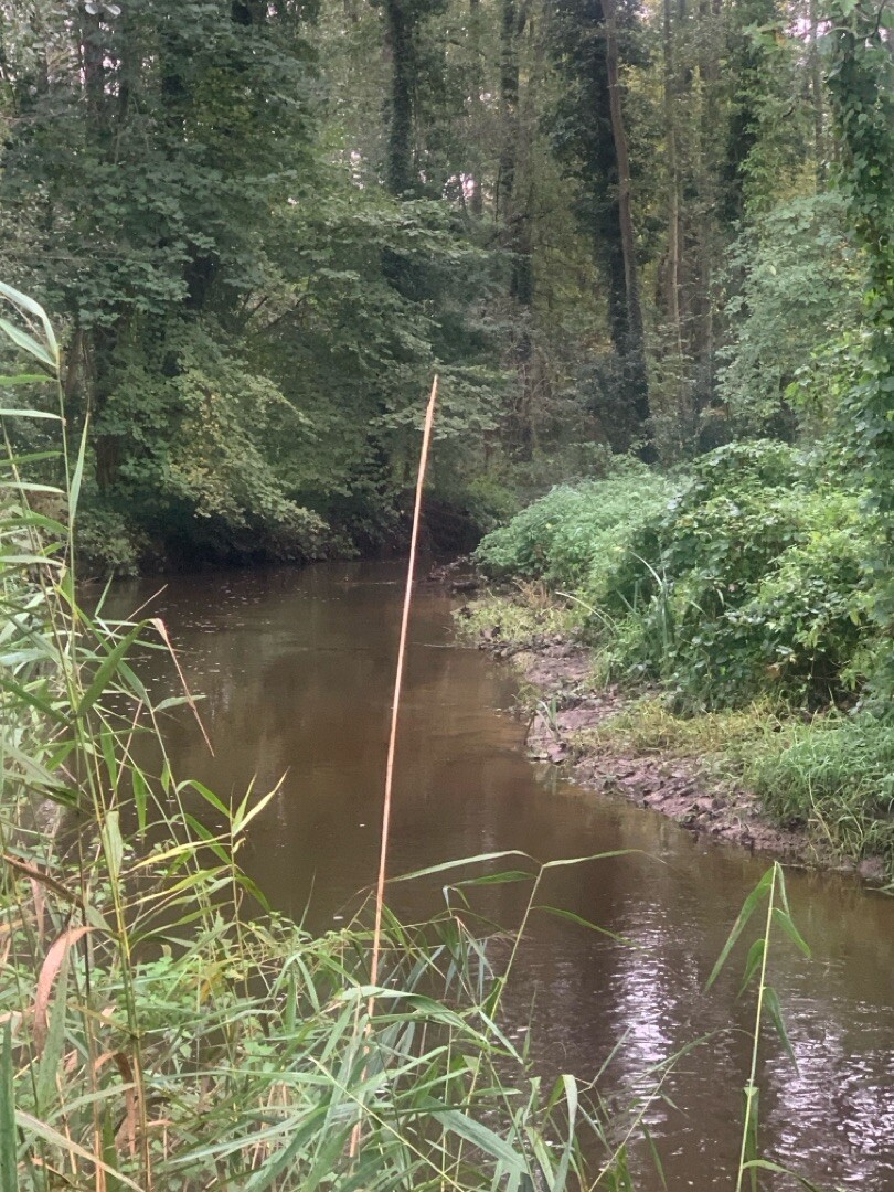 Genneper watermolen - Motel Eindhoven · Hertog Hendrikpad etappe 2