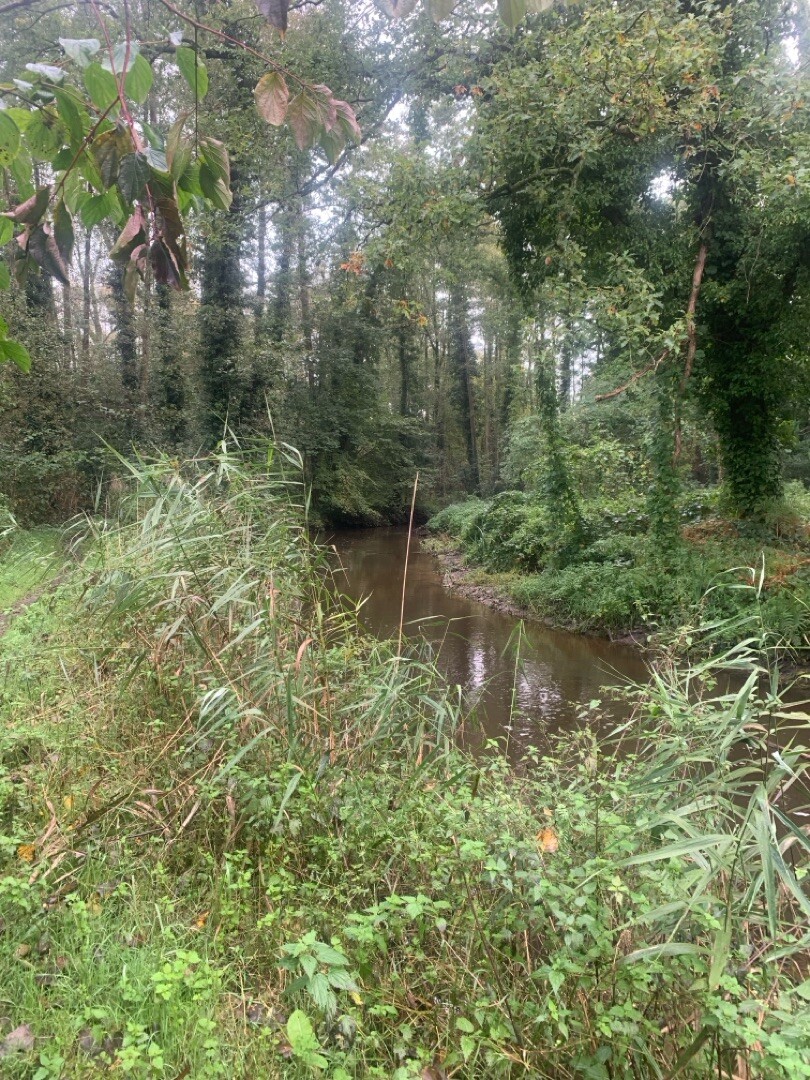 Genneper watermolen - Motel Eindhoven · Hertog Hendrikpad etappe 2