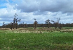 WandelWeb Route - Geeserstroom