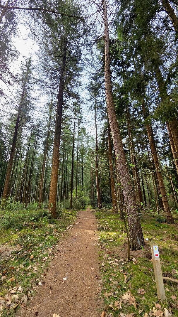 Balkbrug - De Wijk · Maarten van Rossumpad etappe 21