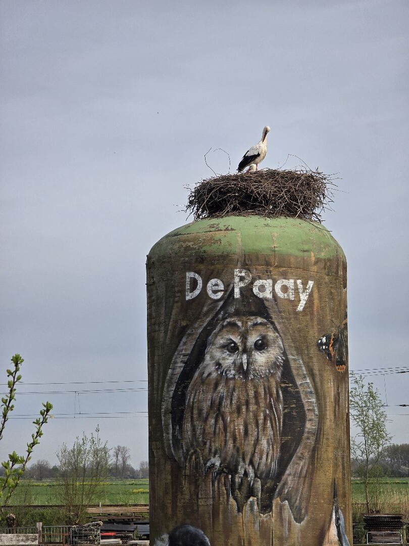 Betuwse Bloesemtocht