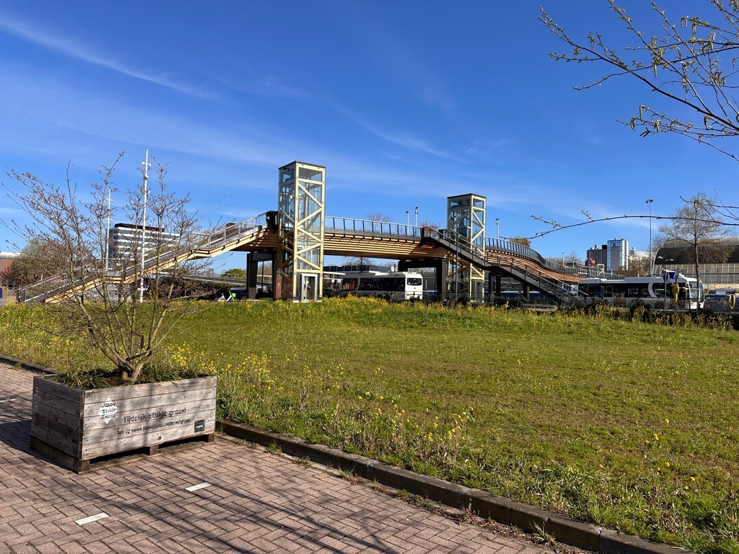 Sunday morning walk “ De Passerelle “ met zon!