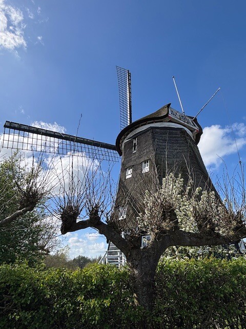 Overmeerroute (paars)