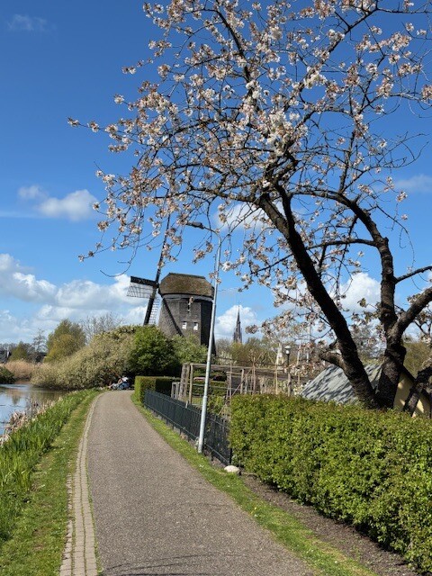 Overmeerroute (paars)