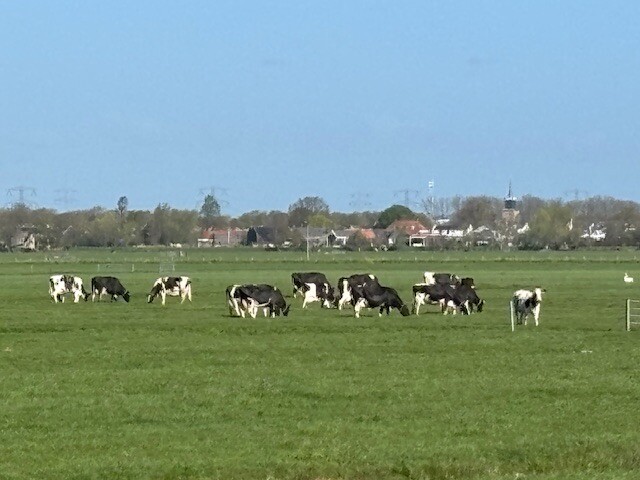 Overmeerroute (paars)