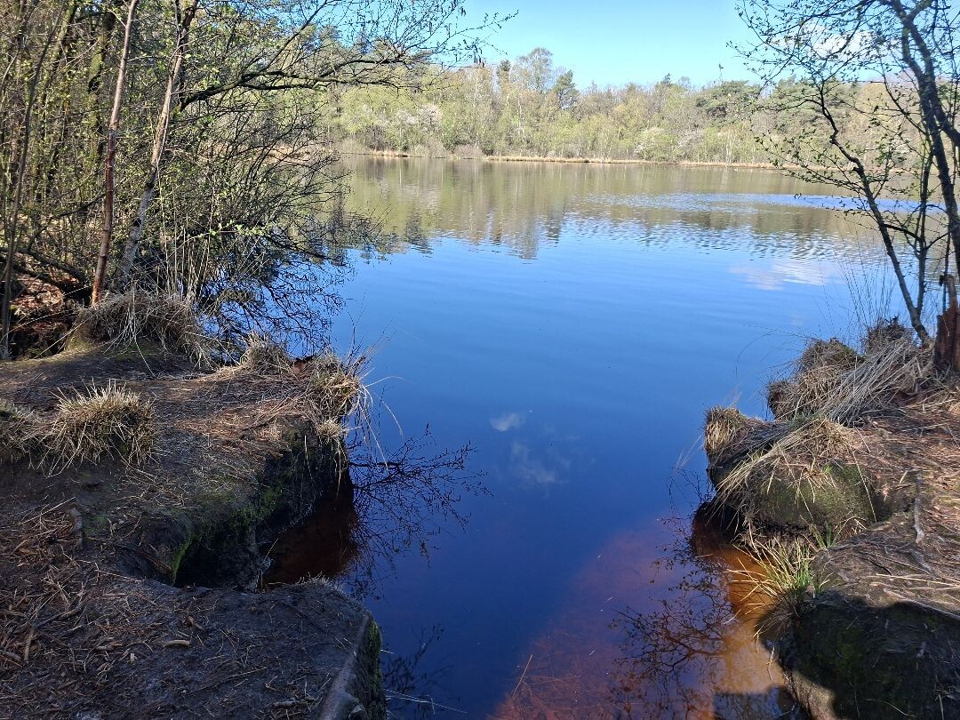 Zuidwolde - Balkbrug · Roots Natuurpad etappe 12
